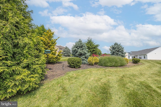 1 Chase Cir, Barto, PA 19504 - view of green lawn