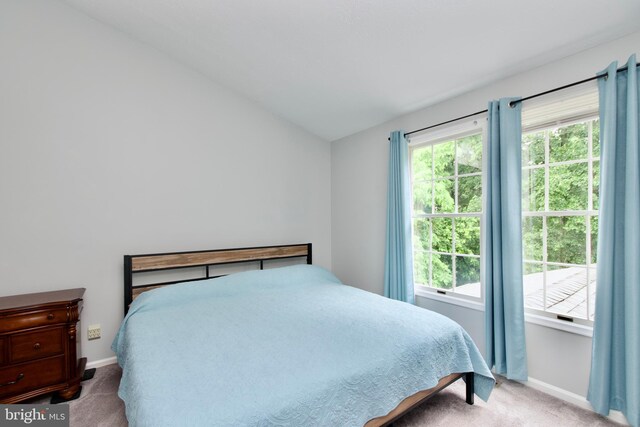 8225 Triple Crown Rd, Bowie, MD 20715 - carpeted bedroom featuring lofted ceiling and baseboards