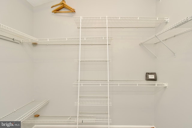 8225 Triple Crown Rd, Bowie, MD 20715 - view of walk in closet