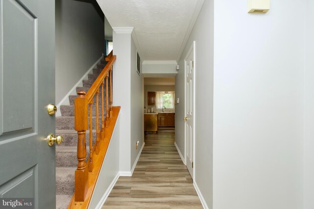 8225 Triple Crown Rd, Bowie, MD 20715 - corridor with light wood-type flooring, ornamental molding, and stairway