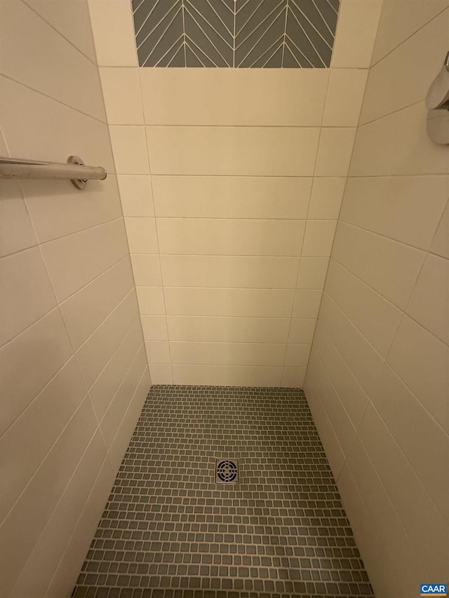 1303 Branchlands Dr, Charlottesville, VA 22901 - full bath with tiled shower