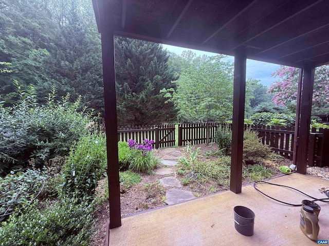 1303 Branchlands Dr, Charlottesville, VA 22901 - view of patio