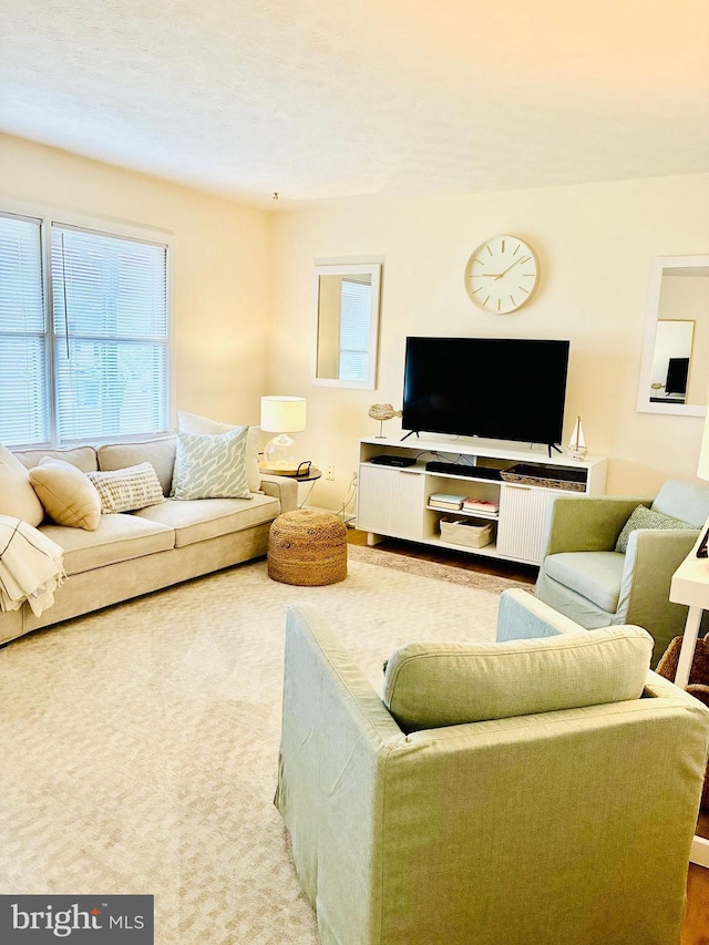 817 Maple Ave, Waynesboro, VA 22980 - view of living area