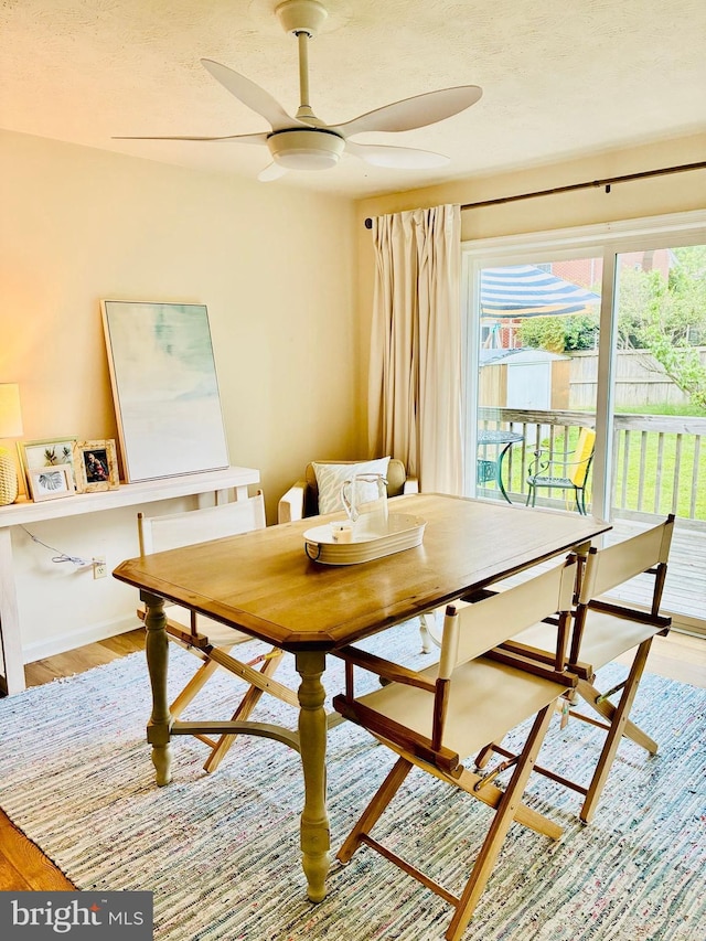 817 Maple Ave, Waynesboro, VA 22980 - dining area featuring light wood-type flooring and a ceiling fan