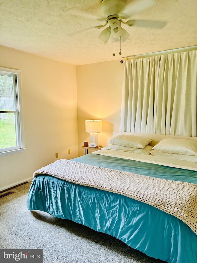 817 Maple Ave, Waynesboro, VA 22980 - bedroom featuring carpet floors, a ceiling fan, and a textured ceiling