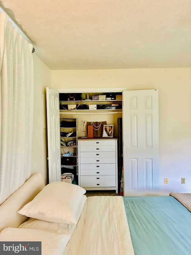 817 Maple Ave, Waynesboro, VA 22980 - view of closet