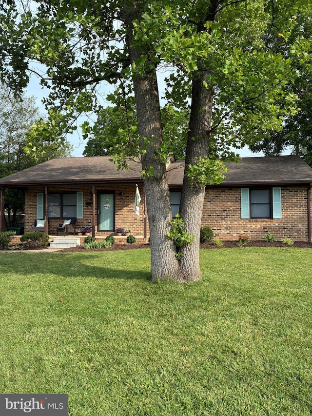 817 Maple Ave, Waynesboro, VA 22980 - ranch-style house featuring brick siding, a front lawn, and roof with shingles