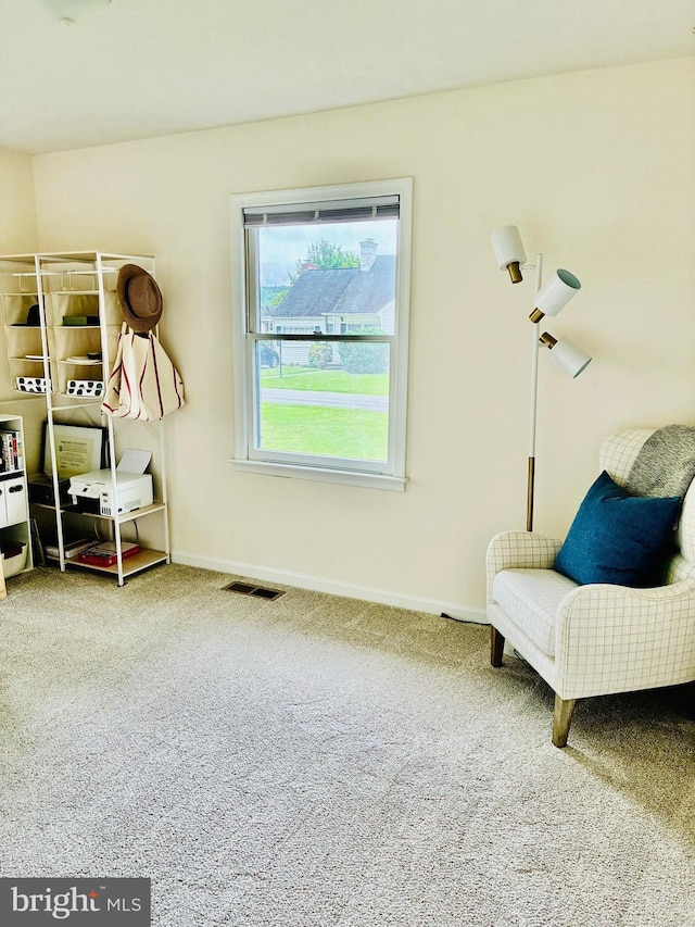 817 Maple Ave, Waynesboro, VA 22980 - sitting room with carpet flooring and baseboards