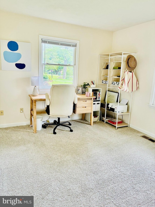 817 Maple Ave, Waynesboro, VA 22980 - home office featuring carpet and baseboards