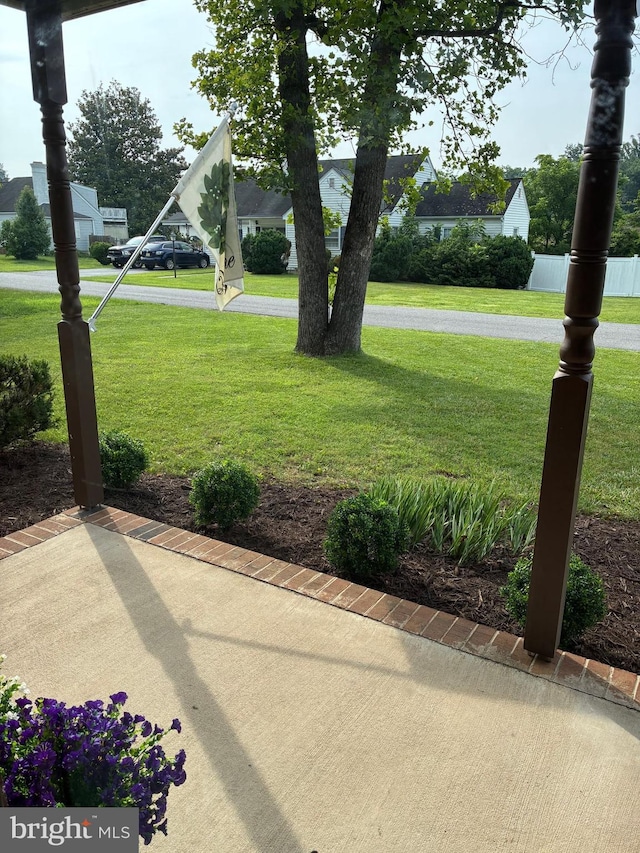 817 Maple Ave, Waynesboro, VA 22980 - view of grassy yard