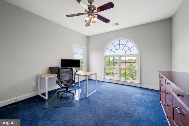 12773 Beebe Ct, Lovettsville, VA 20180 - office space with dark colored carpet and ceiling fan
