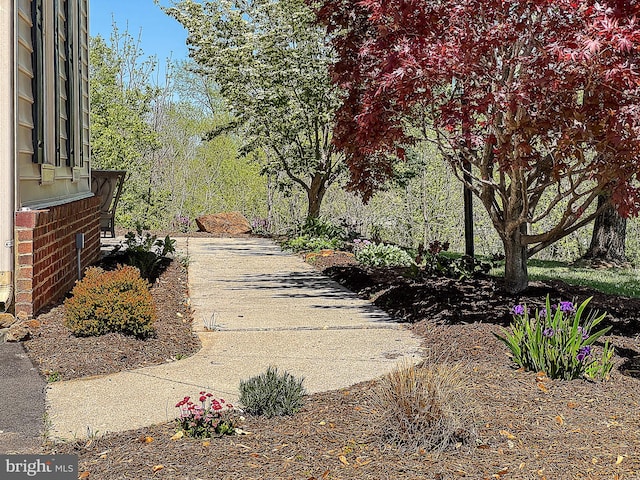 12773 Beebe Ct, Lovettsville, VA 20180 - surrounding community