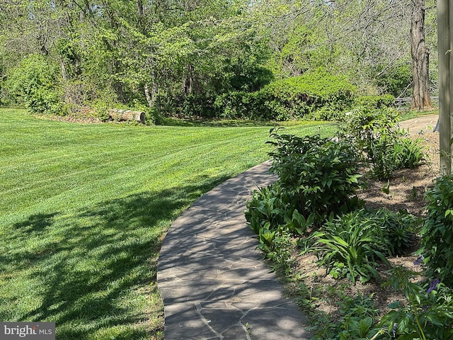 12773 Beebe Ct, Lovettsville, VA 20180 - view of property's community with a lawn and a forest view