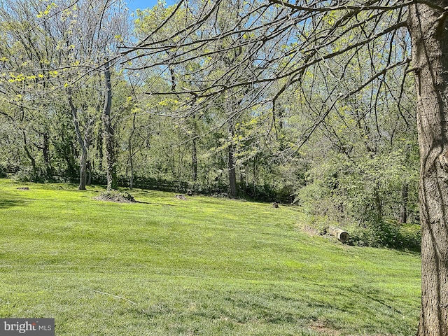 12773 Beebe Ct, Lovettsville, VA 20180 - view of green lawn with a wooded view