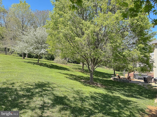 12773 Beebe Ct, Lovettsville, VA 20180 - view of grassy yard