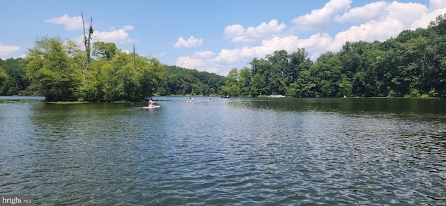 11492 Corinthia Ct, Woodbridge, VA 22192 - water view with a forest