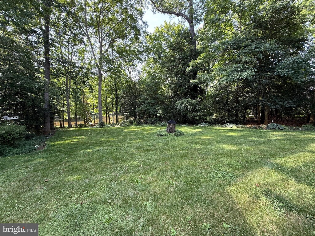 210 Lake Caroline Dr, Ruther Glen, VA 22546 - view of green lawn