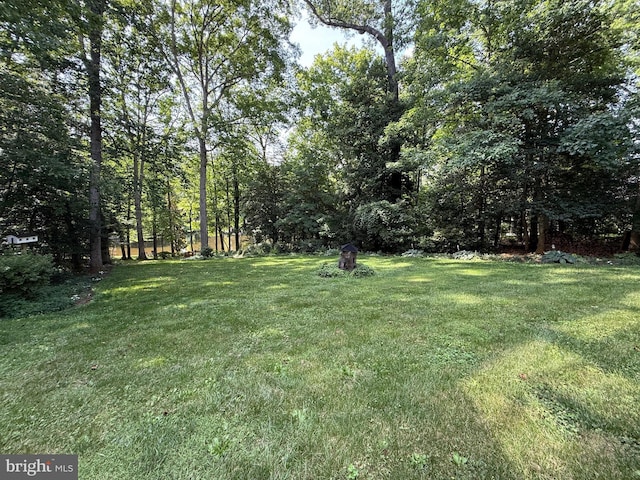 210 Lake Caroline Dr, Ruther Glen, VA 22546 - view of green lawn