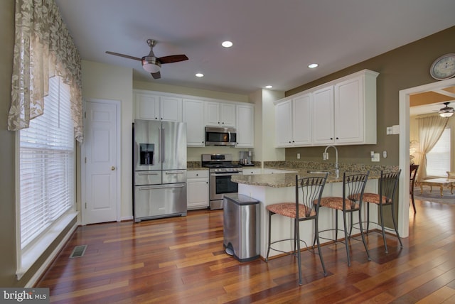 43855 Tattinger Ter, Ashburn, VA 20148 - kitchen featuring stainless steel appliances, ceiling fan, a peninsula, stone counters, and dark wood-type flooring