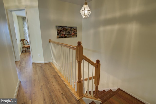 43855 Tattinger Ter, Ashburn, VA 20148 - stairs with wood finished floors and baseboards