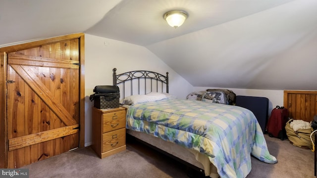 315 Leedom Ave, Bristol, PA 19007 - carpeted bedroom with vaulted ceiling