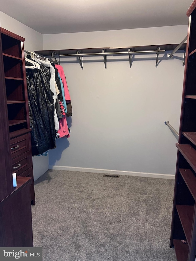 674 Honeysuckle Way, Pennsburg, PA 18073 - walk in closet with carpet