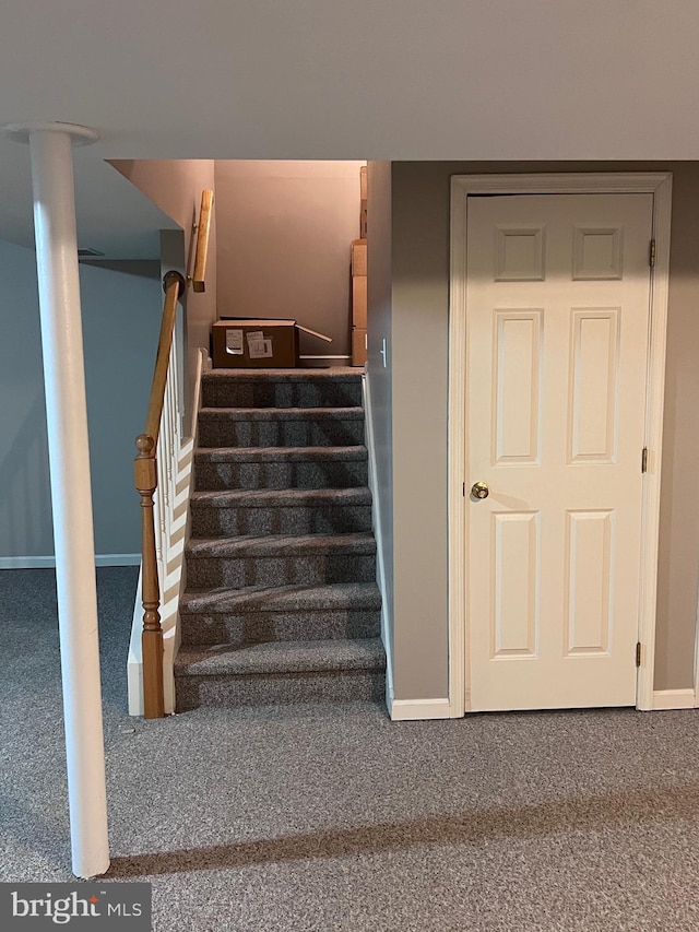 674 Honeysuckle Way, Pennsburg, PA 18073 - stairs featuring carpet flooring