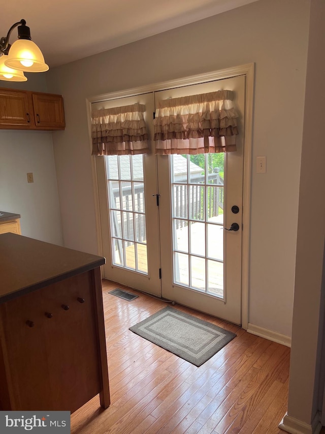 674 Honeysuckle Way, Pennsburg, PA 18073 - doorway featuring light wood-style flooring