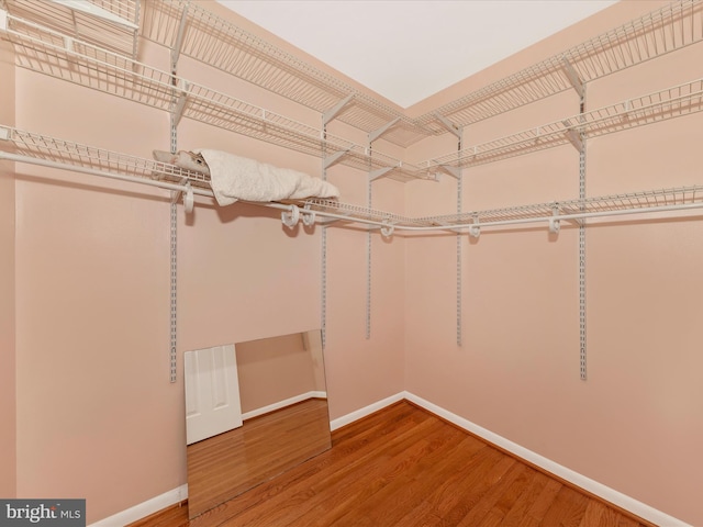 18040 Singing Pine Cir, Montgomery Village, MD 20886 - spacious closet featuring wood finished floors