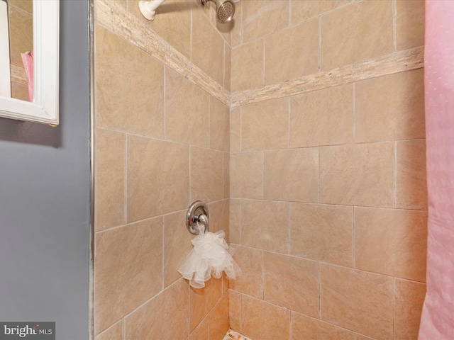 18040 Singing Pine Cir, Montgomery Village, MD 20886 - bathroom view of tiled shower