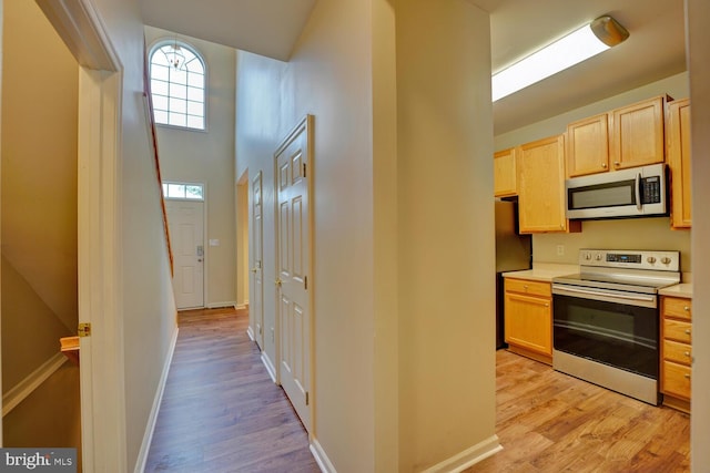 2 N Cummings Dr, Middletown, DE 19709 - kitchen with stainless steel appliances, light brown cabinets, light wood-style floors, and healthy amount of natural light