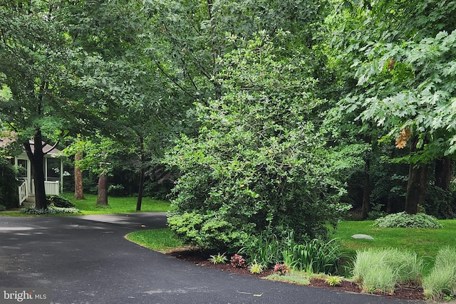 3689 N Carolina Ave, Edgewater, MD 21037 - view of asphalt road