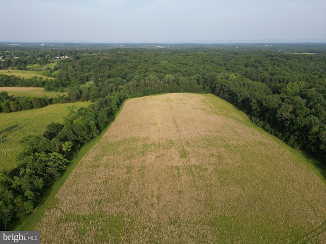 TractB Giles Mill Road, Bunker Hill, WV 25413