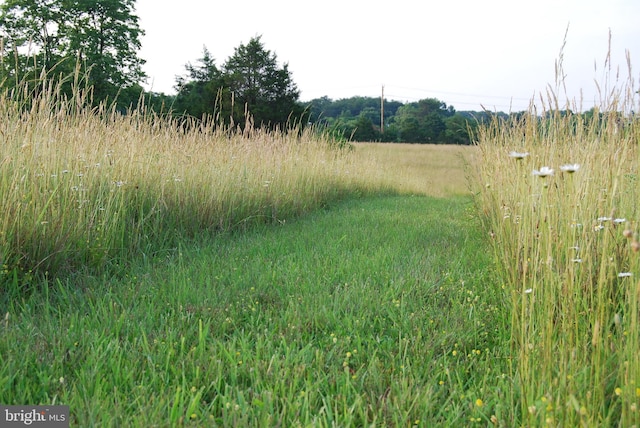 TractB Giles Mill Road, Bunker Hill, WV 25413