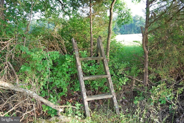 TractB Giles Mill Road, Bunker Hill, WV 25413
