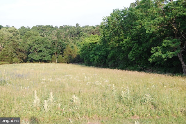 TractB Giles Mill Road, Bunker Hill, WV 25413