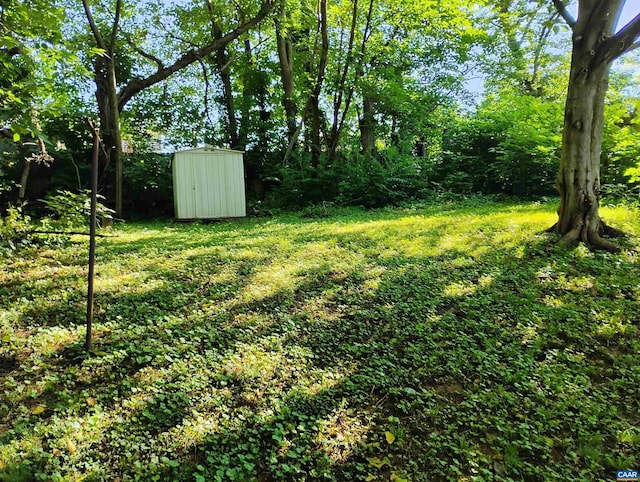 1411 Vine St, Charlottesville, VA 22902 - view of green lawn featuring a storage unit