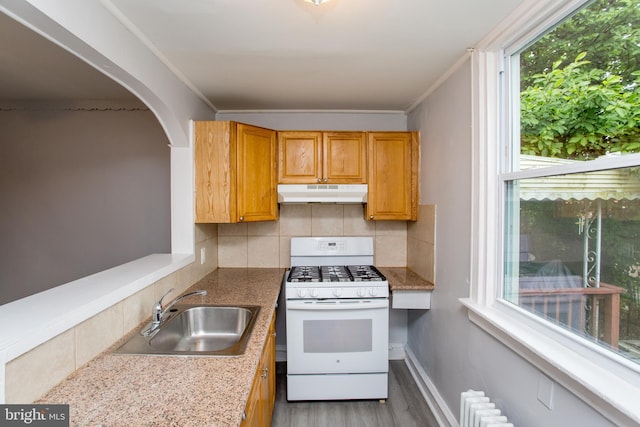 7152 N 20th St, Philadelphia, PA 19138 - kitchen featuring white range with gas cooktop, under cabinet range hood, wood finished floors, tasteful backsplash, and arched walkways