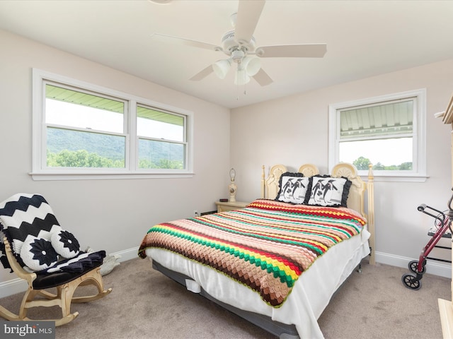 5409 Greenspring Valley Rd, Green Spring, WV 26722 - bedroom with carpet floors, multiple windows, and ceiling fan