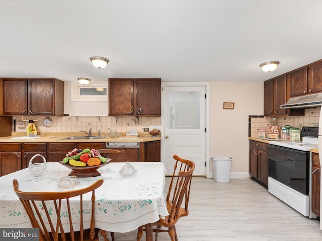 5409 Greenspring Valley Rd, Green Spring, WV 26722 - kitchen featuring electric stove, under cabinet range hood, backsplash, light countertops, and light wood finished floors