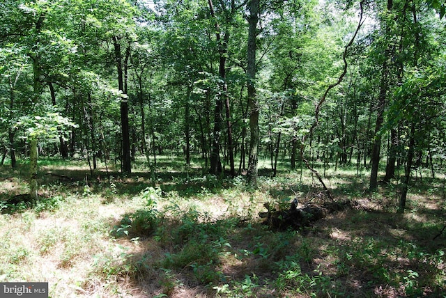5409 Greenspring Valley Rd, Green Spring, WV 26722 - view of tree filled area