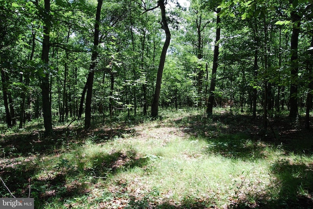 5409 Greenspring Valley Rd, Green Spring, WV 26722 - view of tree filled area