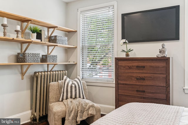 1918 E Albert St, Philadelphia, PA 19125 - bedroom with radiator, multiple windows, and wood finished floors