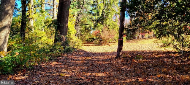 1616 Meadow Ln, Glen Mills, PA 19342 - view of property's community with a view of trees