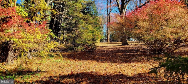 1616 Meadow Ln, Glen Mills, PA 19342 - view of undeveloped land