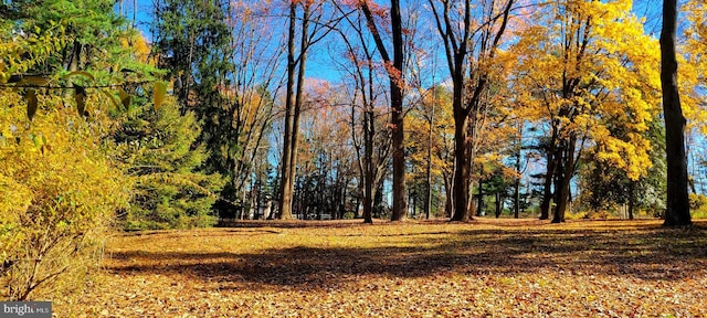 1616 Meadow Ln, Glen Mills, PA 19342 - view of local wilderness
