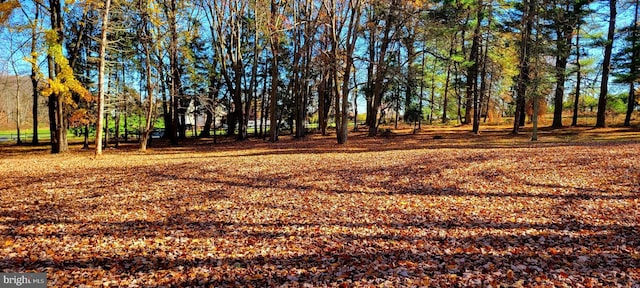1616 Meadow Ln, Glen Mills, PA 19342 - view of yard