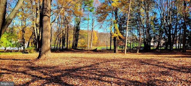 1616 Meadow Ln, Glen Mills, PA 19342 - view of home's community