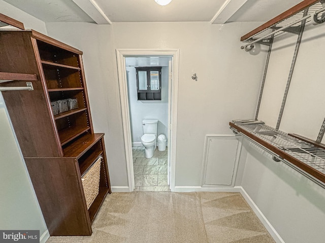 3801 Ridge Knoll Ct Unit 206A, Fairfax, VA 22033 - walk in closet with light colored carpet