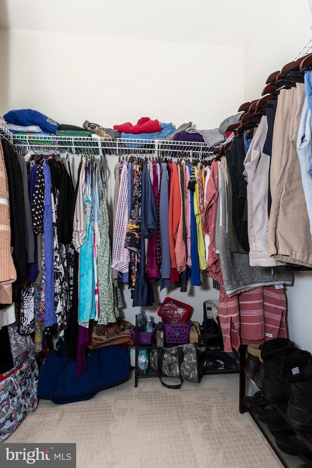 4136 Shanelle Ct Lot 10, Hampstead, MD 21074 - walk in closet with carpet flooring
